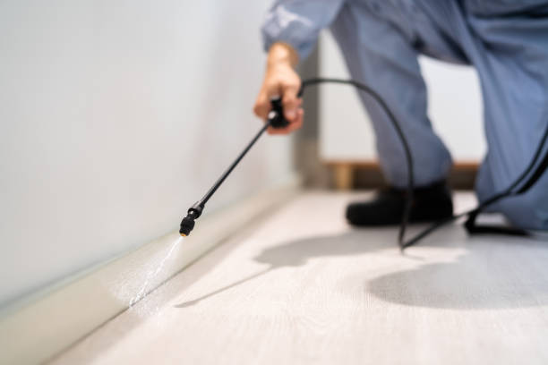 Bed Bug Pre-Treatment Preparation Assessment in New Pekin