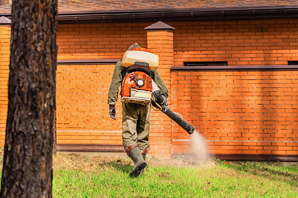 Bed Bug Clearance Verification and Documentation in New Pekin